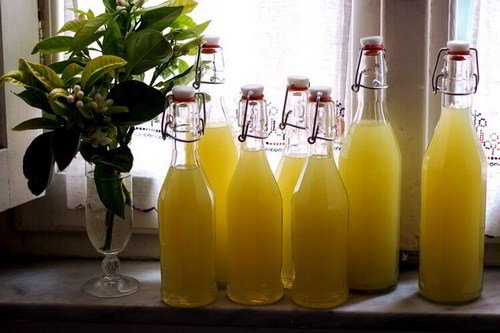 Домашний ликёр лимончелло на спирту. Рецепт приготовления в домашних условиях.